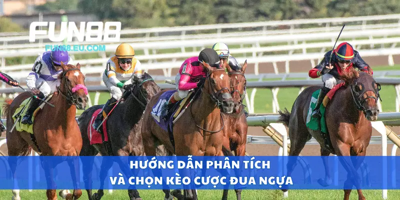 Hướng dẫn phân tích và chọn kèo cược đua ngựa